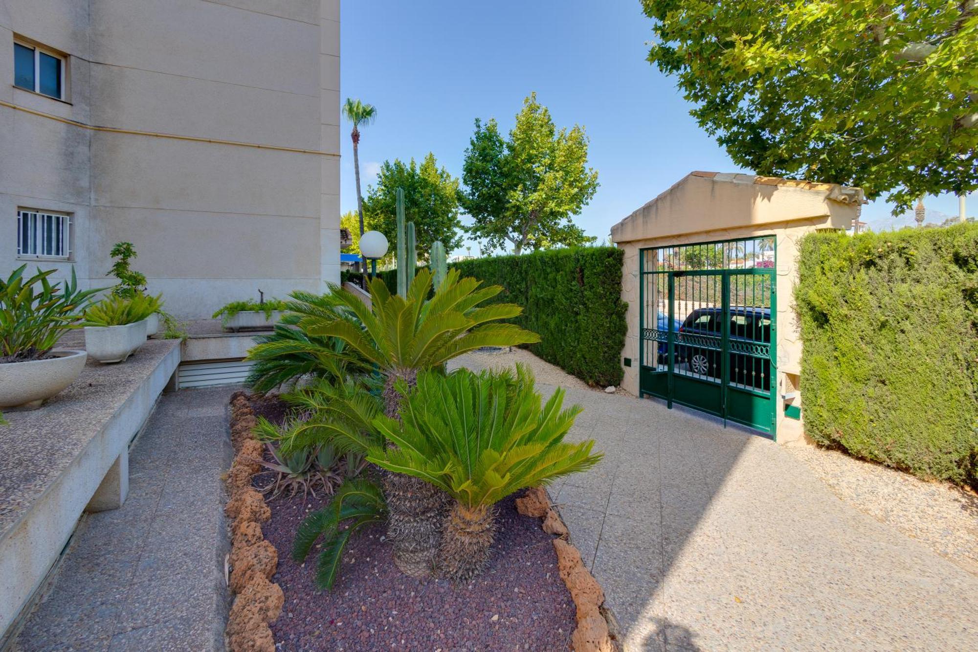 Apartamentos Oasis El Albir Εξωτερικό φωτογραφία