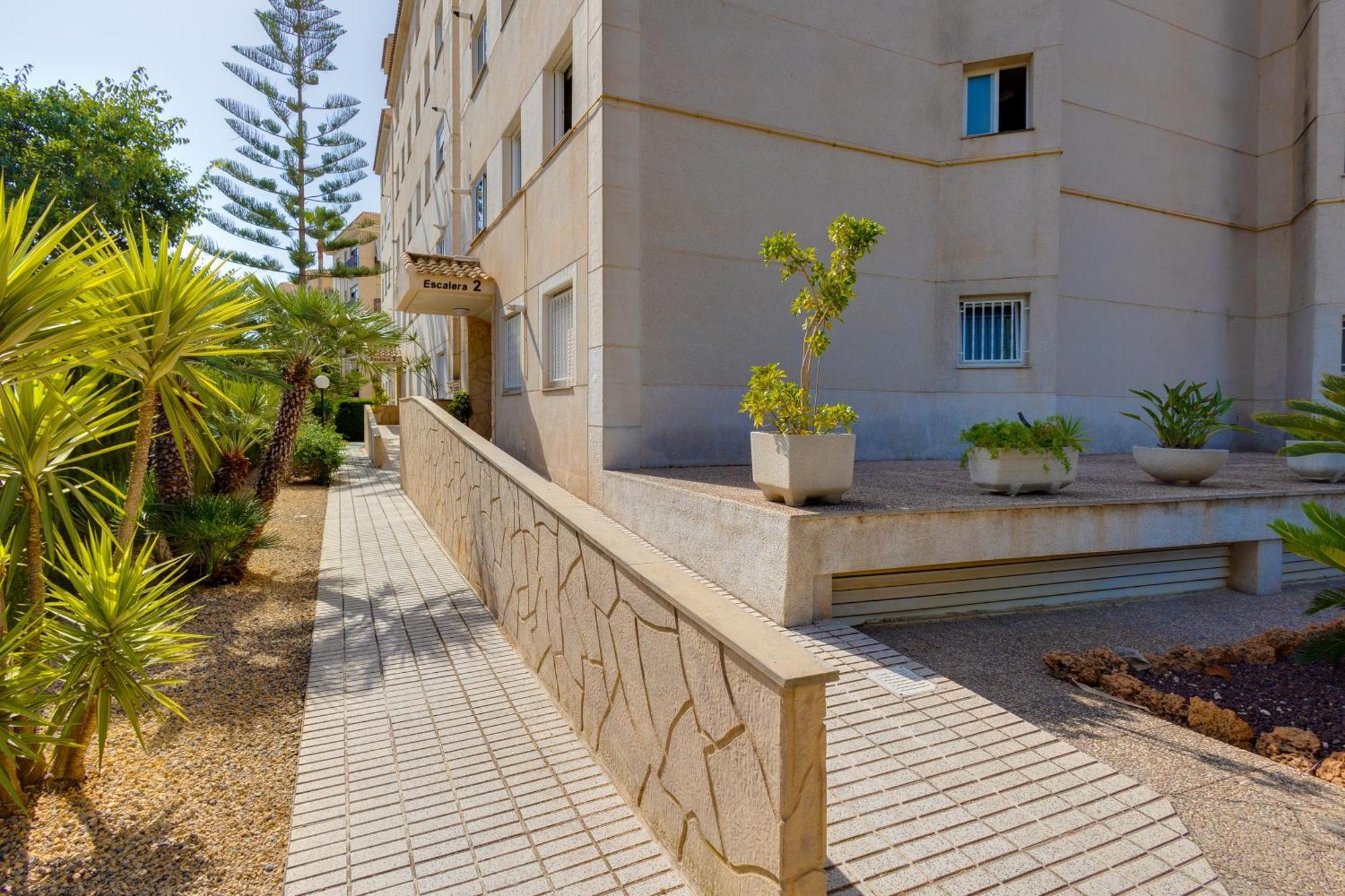 Apartamentos Oasis El Albir Εξωτερικό φωτογραφία