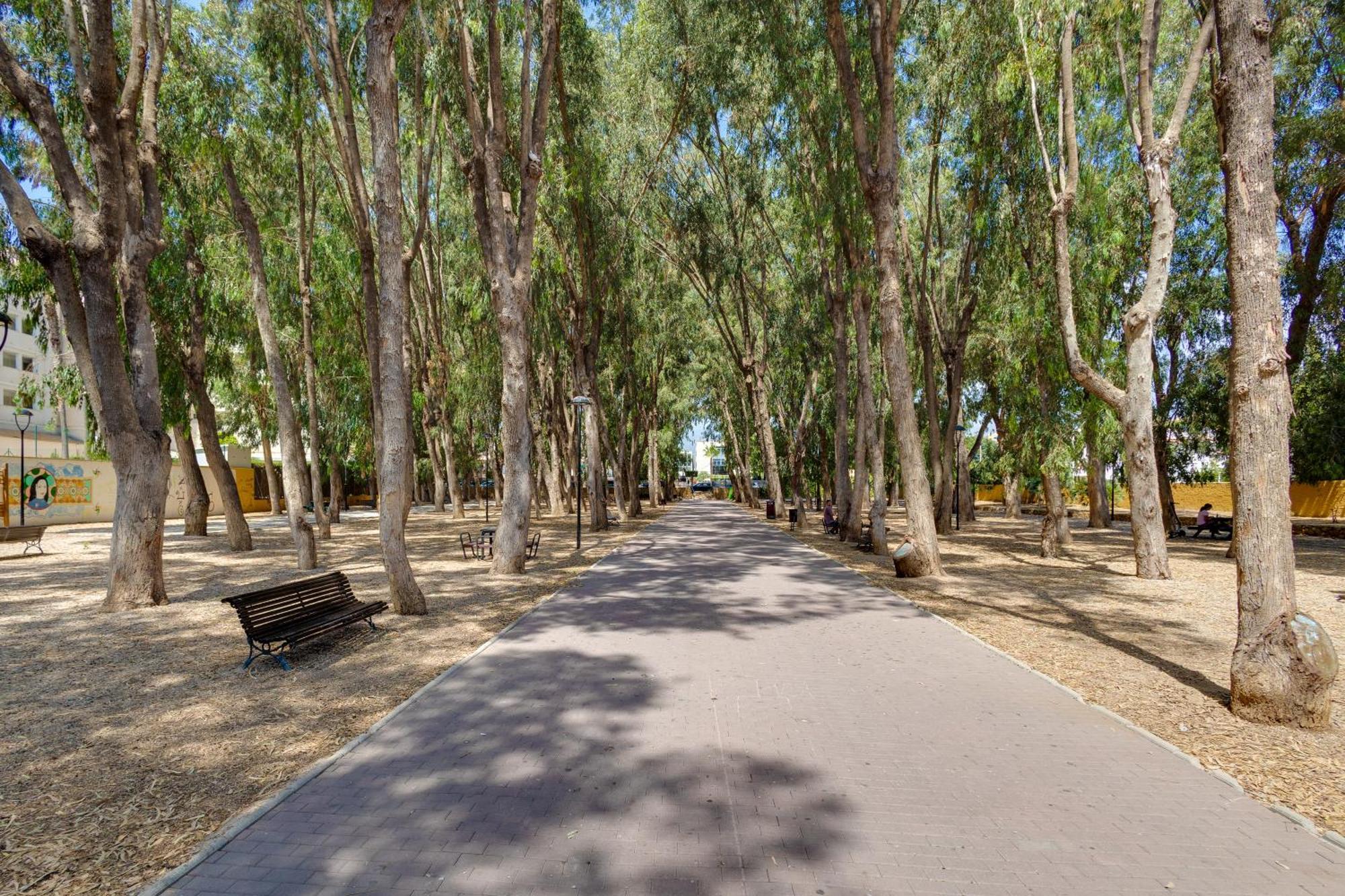 Apartamentos Oasis El Albir Εξωτερικό φωτογραφία